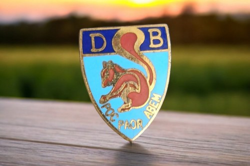 Pin vintage écureuil poc - pin's,